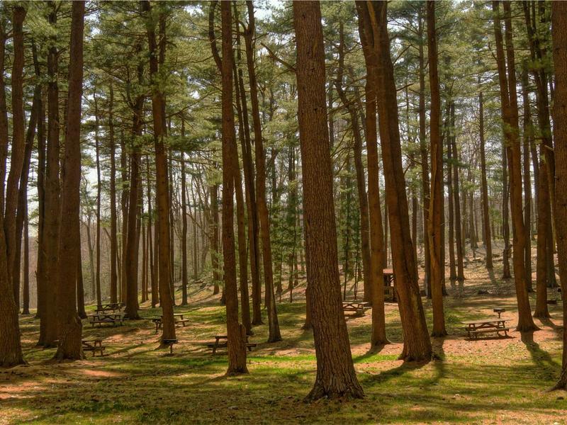 sudoku background music screenshot 6