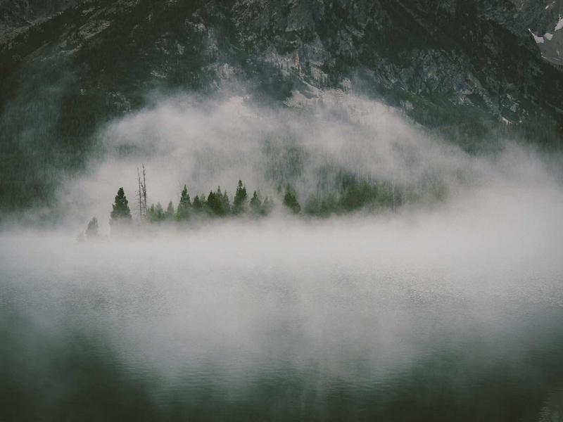 community screenshot 1