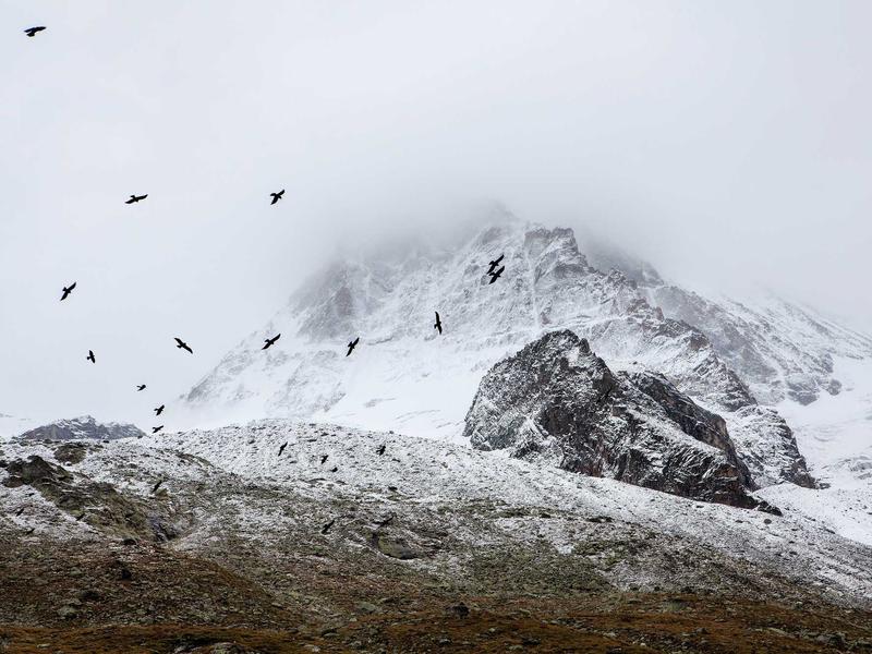 sudoku valid solution screenshot 6